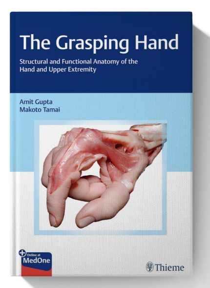 The Grasping Hand: Structural and Functional Anatomy of the Hand and Upper Extremity