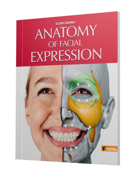 Anatomy of Facial Expressions